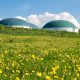 Biogas-Additive