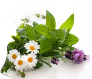 Osterblumen